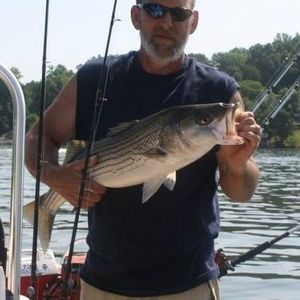 Meet your Posher, Garry